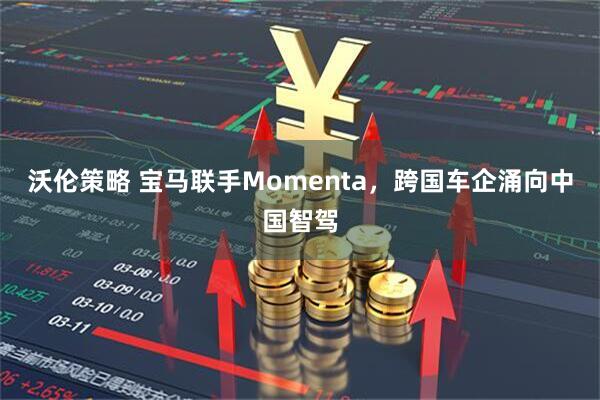 沃伦策略 宝马联手Momenta，跨国车企涌向中国智驾